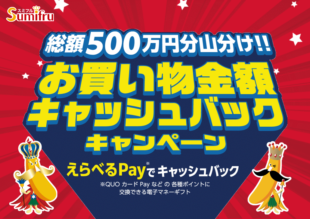 総額500万円分山分け!!お買い物金額キャッシュバックキャンペーン